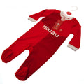 Wales RU Sleepsuit 9/12 mths QT, side angle