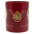 Harry Potter Mug 9 & 3 Quarters, alternate view