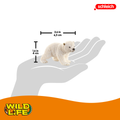 Schleich - Polar Bear Cub Walking - Image