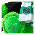 Care Bears - 30cm Harry Potter Hoodie - Slytherin