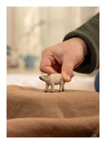 Schleich - Mangalica Piglet - Image