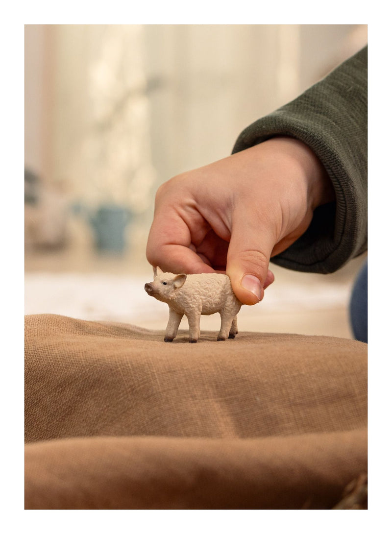 Schleich - Mangalica Piglet - Image