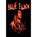 Billie Eilish Poster Sparks collectible from Infinity Collectibles 2026