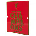 Liverpool FC Premier League Champions Window Sign, alternate view
