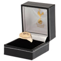 Tottenham Hotspur FC 9ct Gold Crest Ring Medium, close-up detail