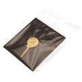 Game Of Thrones Hand Of The King Pin Badge, alternate view