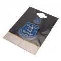 Everton FC 3D Fridge Magnet, side angle
