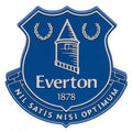 Everton FC 3D Fridge Magnet