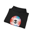 'Living at 33rpm' Men's Hoodie, product detail