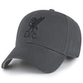 Liverpool FC Core Charcoal Cap collectible from Infinity Collectibles 2026