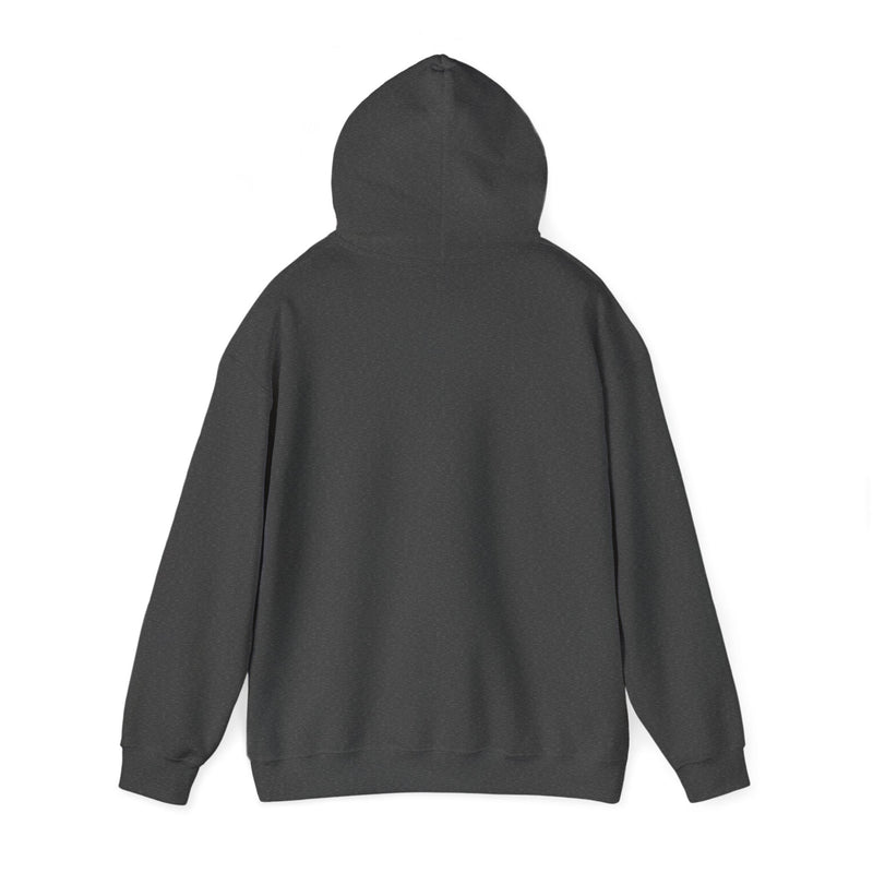 'Life Sounds Better on Vinyl' Men's Hoodie, showing reverse