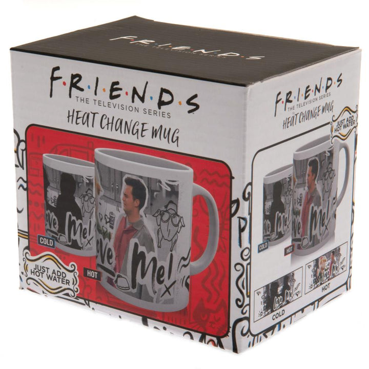 Friends Heat Changing Mug You Love Me