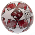 UEFA Champions League Red Star Football, side angle