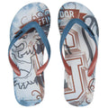 Harry Potter Flip Flops Gryffindor Size EU 43 collectible from Infinity Collectibles 2026