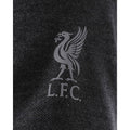 Liverpool FC Neon Panel Polo Mens Charcoal Small, close-up detail