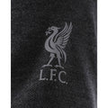 Liverpool FC Neon Panel Polo Mens Charcoal Small, close-up detail