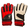 Liverpool FC Delta Goalkeeper Gloves Kids, alternate view