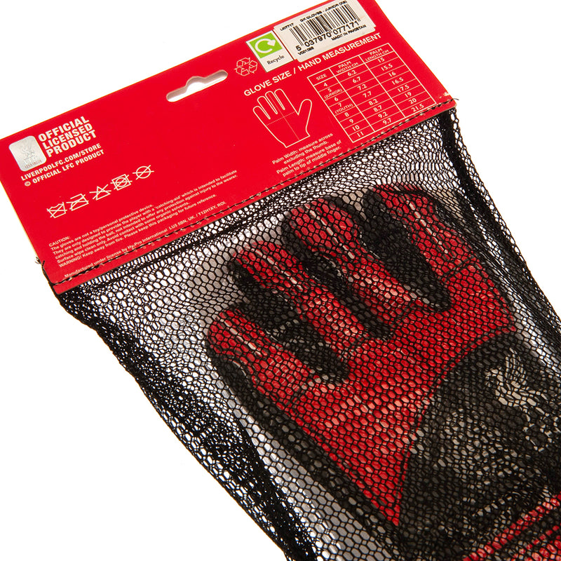 Liverpool FC Delta Goalkeeper Gloves Kids, close-up detail