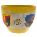 Harry Potter Huggy Mug collectible from Infinity Collectibles 2026