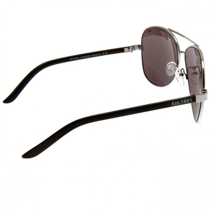 Wales RU Sunglasses Adult Aviator, side angle