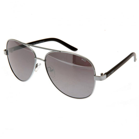 Wales RU Sunglasses Adult Aviator collectible from Infinity Collectibles 2026