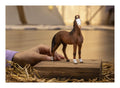 Schleich - Marwari Mare - Image