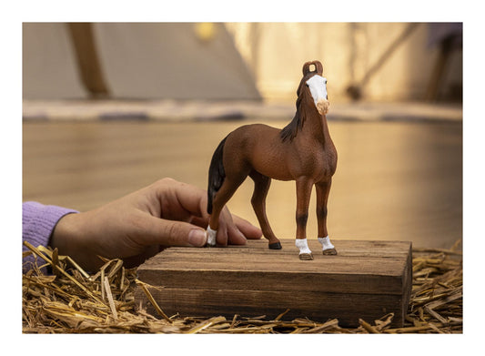 Schleich - Marwari Mare - Image