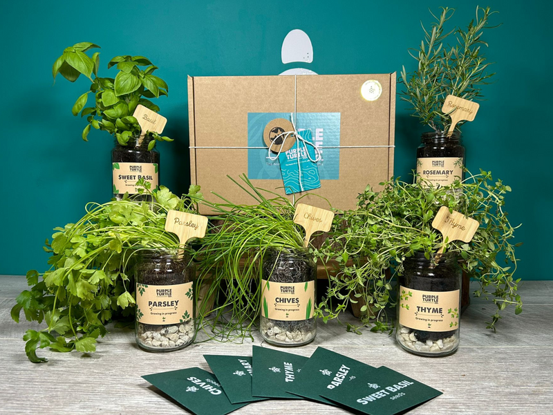Grow Your Own Herbs Gift Set collectible from Purple Turtle Co