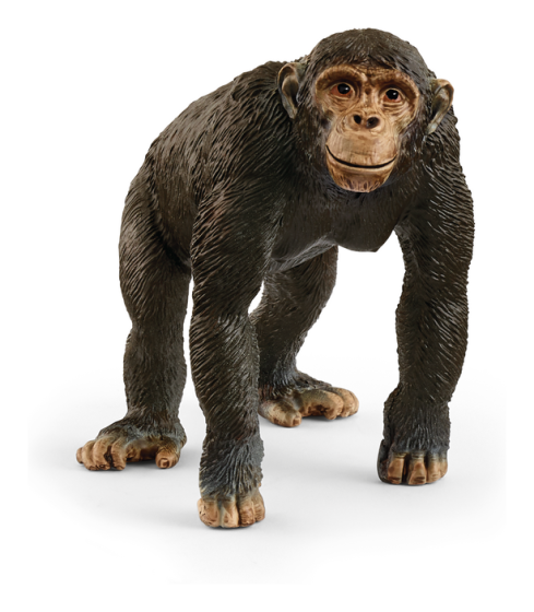 Schleich Chimpanzee