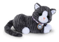 Baby Born My Cat Cookie With Box - Image