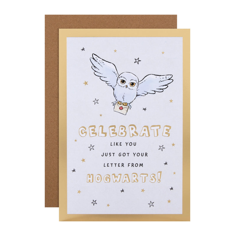 General Birthday Card - Harry Potter™ Hedwig & Letter Design