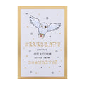 General Birthday Card - Harry Potter™ Hedwig & Letter Design