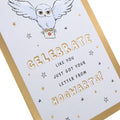 General Birthday Card - Harry Potter™ Hedwig & Letter Design