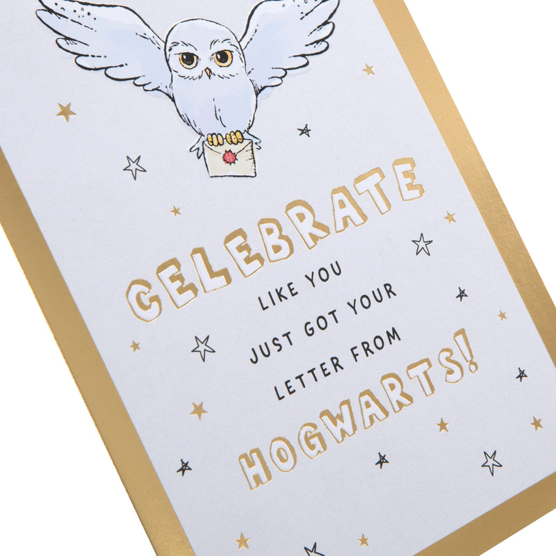 General Birthday Card - Harry Potter™ Hedwig & Letter Design