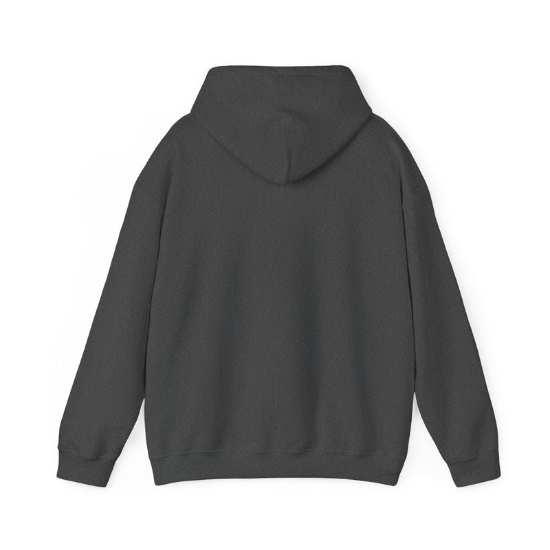 'Life Sounds Better on Vinyl' Men's Hoodie, product detail