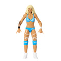 WWE Main Event Figure Series 165