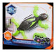 Hexbug Gecko Hexbug Smart Gecko Robot Toy