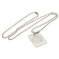 Chelsea FC Silver Plated Dog Tag & Chain, alternate view