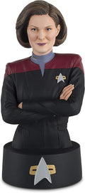 Captain Janeway Model Die Cast Bust Figure (Eaglemoss Star Trek The Official Busts Collection), rear view