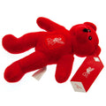 Liverpool FC Mini Bear, side angle