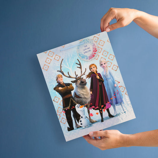 Kids Large Gift Bag - Disney Frozen 2 Characters Design