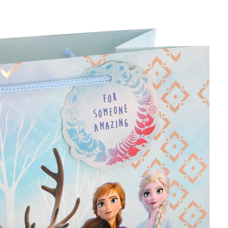 Kids Large Gift Bag - Disney Frozen 2 Characters Design