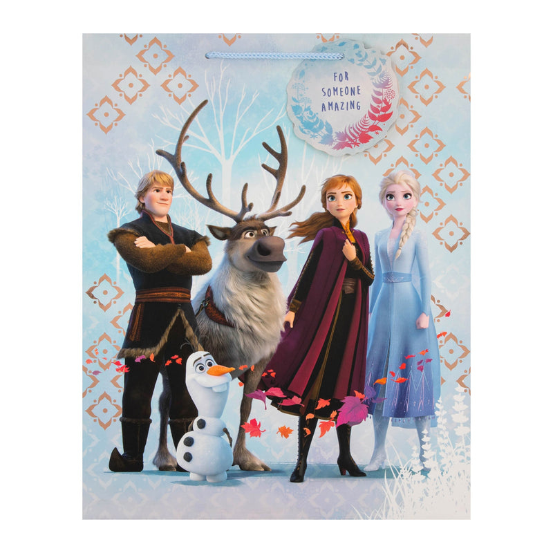 Kids Large Gift Bag - Disney Frozen 2 Characters Design