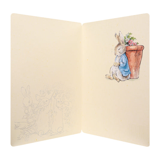 Any Occasion Blank Card - Illustrated Peter Rabbit™ Design