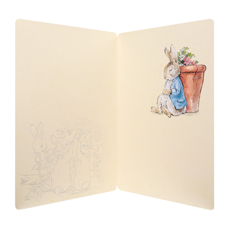 Any Occasion Blank Card - Illustrated Peter Rabbit™ Design