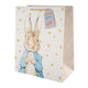 Peter Rabbit Gift Bag