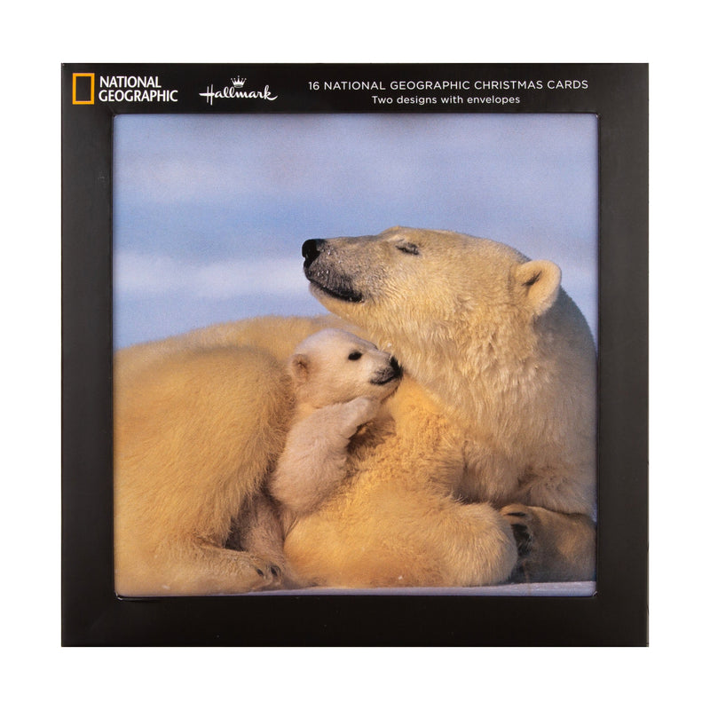 Christmas Cards - Pack of 16 in 2 Bear and Penguin National Geographic Designs