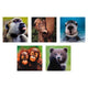National Geographic Animal Card Multipack (10 Pack)