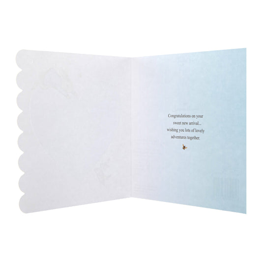 New Baby Boy Card - Beatrix Potter Peter Rabbit™ Design
