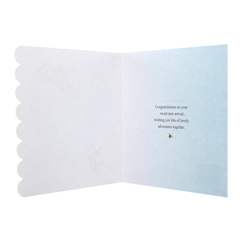 New Baby Boy Card - Beatrix Potter Peter Rabbit™ Design